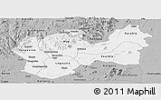 Gray Panoramic Map of Man