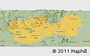 Savanna Style Panoramic Map of Man