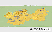 Savanna Style Panoramic Map of Man, single color outside