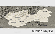Shaded Relief Panoramic Map of Man, darken
