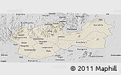 Shaded Relief Panoramic Map of Man, desaturated