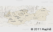 Shaded Relief Panoramic Map of Man, lighten