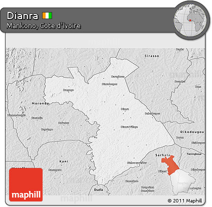 Silver Style 3D Map of Dianra
