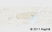 Shaded Relief Panoramic Map of Kounahiri, lighten