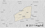 Shaded Relief 3D Map of Sarhala, desaturated