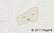 Shaded Relief 3D Map of Sarhala, lighten