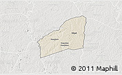 Shaded Relief 3D Map of Sarhala, lighten, semi-desaturated