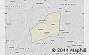 Shaded Relief Map of Sarhala, desaturated