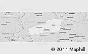 Silver Style Panoramic Map of Sarhala
