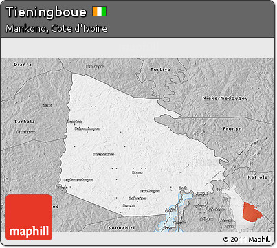 Gray 3D Map of Tieningboue