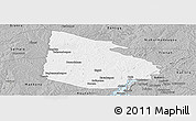 Gray Panoramic Map of Tieningboue