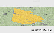 Savanna Style Panoramic Map of Tieningboue