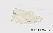 Shaded Relief Panoramic Map of Tieningboue, single color outside