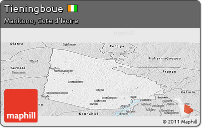 Silver Style Panoramic Map of Tieningboue