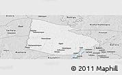 Silver Style Panoramic Map of Tieningboue