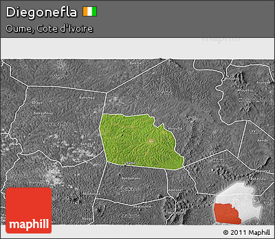 Satellite 3D Map of Diegonefla, desaturated
