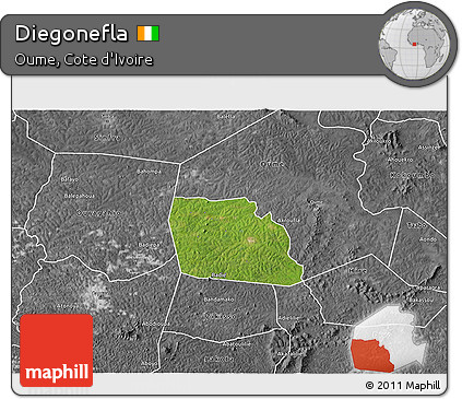 Satellite 3D Map of Diegonefla, desaturated