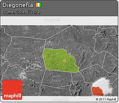 Satellite 3D Map of Diegonefla, desaturated