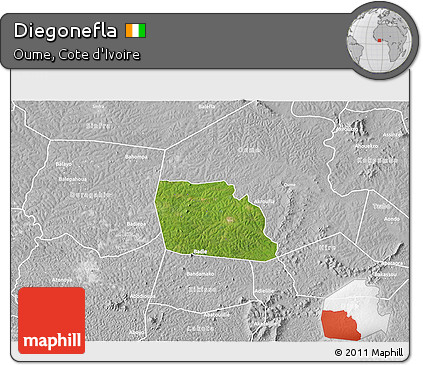 Satellite 3D Map of Diegonefla, lighten, desaturated