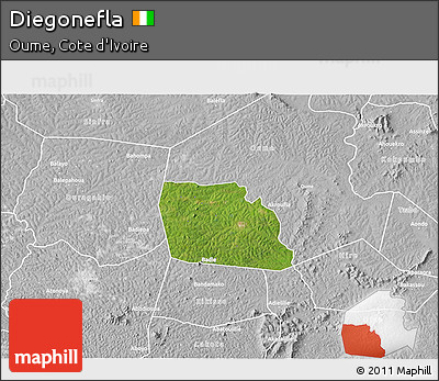 Satellite 3D Map of Diegonefla, lighten, desaturated
