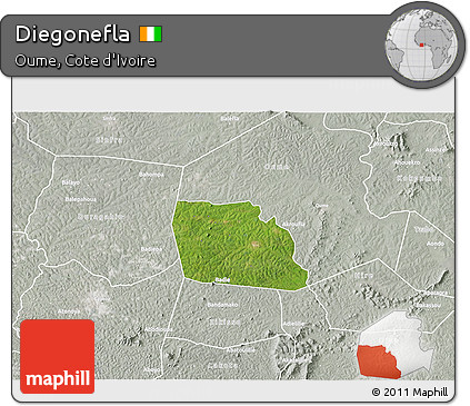 Satellite 3D Map of Diegonefla, lighten, semi-desaturated