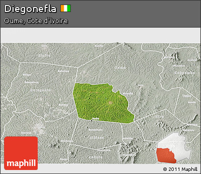 Satellite 3D Map of Diegonefla, lighten, semi-desaturated