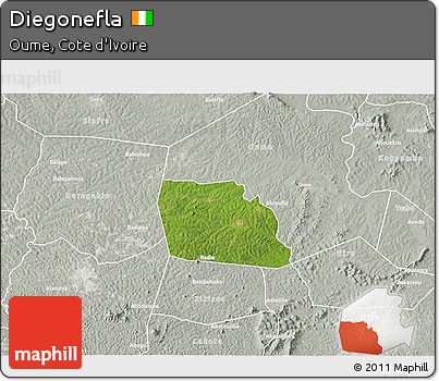 Satellite 3D Map of Diegonefla, lighten, semi-desaturated