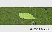 Physical Panoramic Map of Diegonefla, darken
