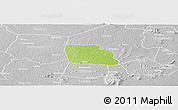 Physical Panoramic Map of Diegonefla, lighten, desaturated