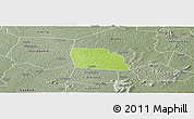 Physical Panoramic Map of Diegonefla, semi-desaturated