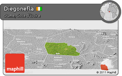 Satellite Panoramic Map of Diegonefla, lighten, desaturated