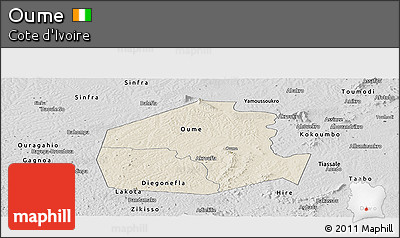 Shaded Relief Panoramic Map of Oume, desaturated