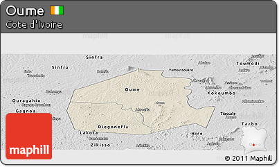 Shaded Relief Panoramic Map of Oume, desaturated