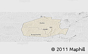 Shaded Relief Panoramic Map of Oume, lighten, desaturated
