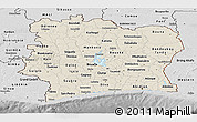 Shaded Relief Panoramic Map of Cote d'Ivoire, desaturated