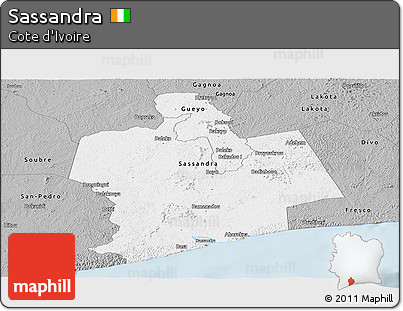 Gray Panoramic Map of Sassandra
