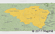 Savanna Style Panoramic Map of Tanda