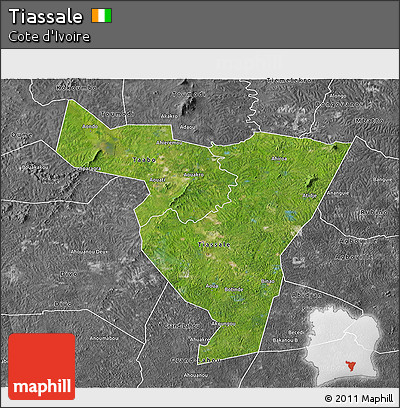 Satellite 3D Map of Tiassale, desaturated