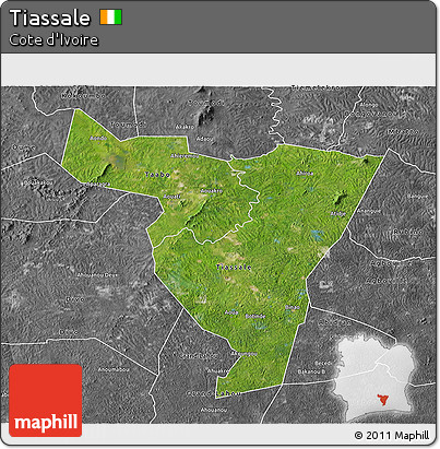 Satellite 3D Map of Tiassale, desaturated