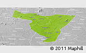 Physical Panoramic Map of Tiassale, lighten, desaturated
