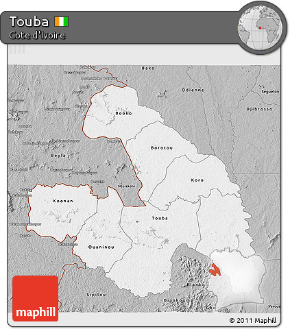 Gray 3D Map of Touba