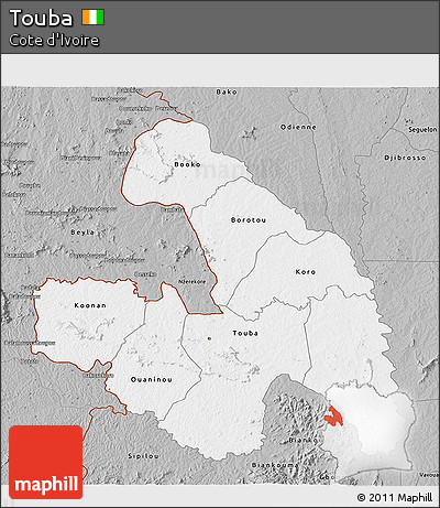 Gray 3D Map of Touba