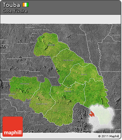 Satellite 3D Map of Touba, desaturated