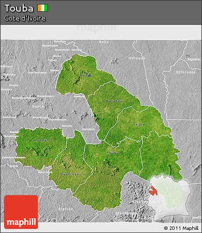 Satellite 3D Map of Touba, lighten, desaturated