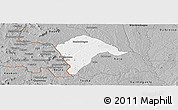 Gray Panoramic Map of Borotou