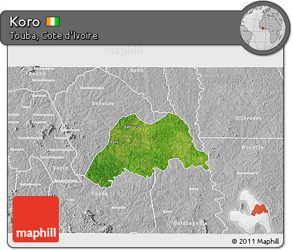 Satellite 3D Map of Koro, lighten, desaturated