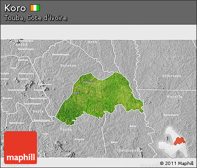 Satellite 3D Map of Koro, lighten, desaturated