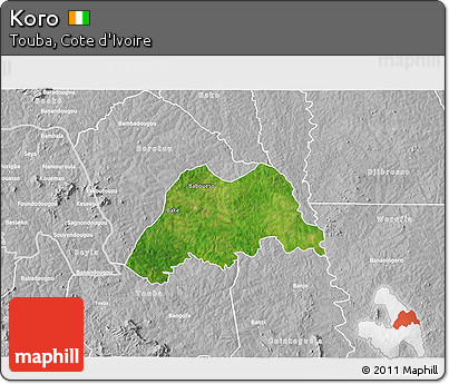 Satellite 3D Map of Koro, lighten, desaturated