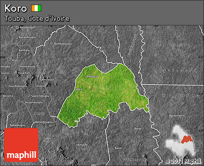 Satellite Map of Koro, desaturated