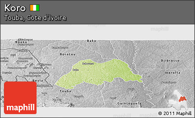 Physical Panoramic Map of Koro, desaturated